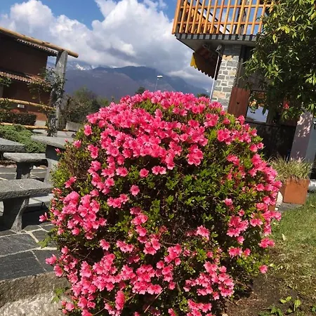 B&B Al Grottino Gambarogno