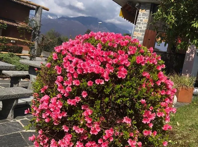 Bed and breakfast Al Grottino Gambarogno