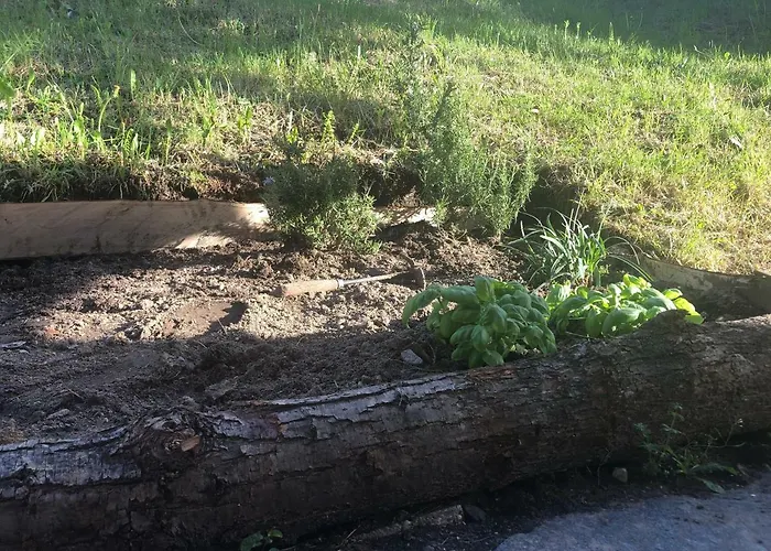 Al Grottino Bed & Breakfast Gambarogno